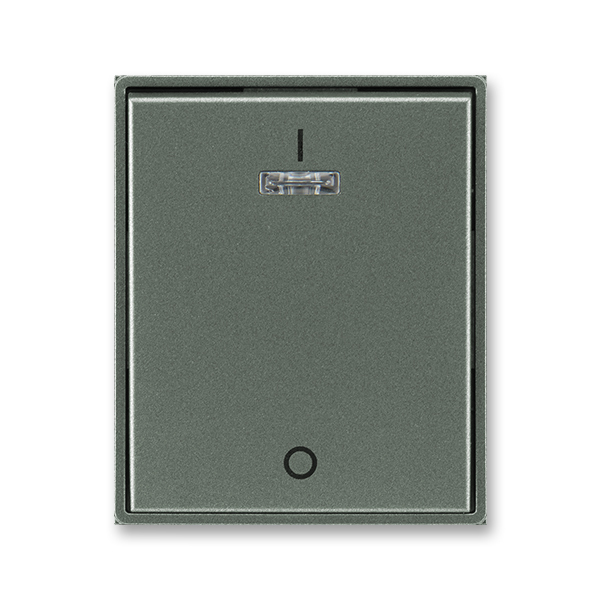 Kryt jednoduchý s potlačou, s čírym priezorom, Time®, Time® Arbo, antracitová