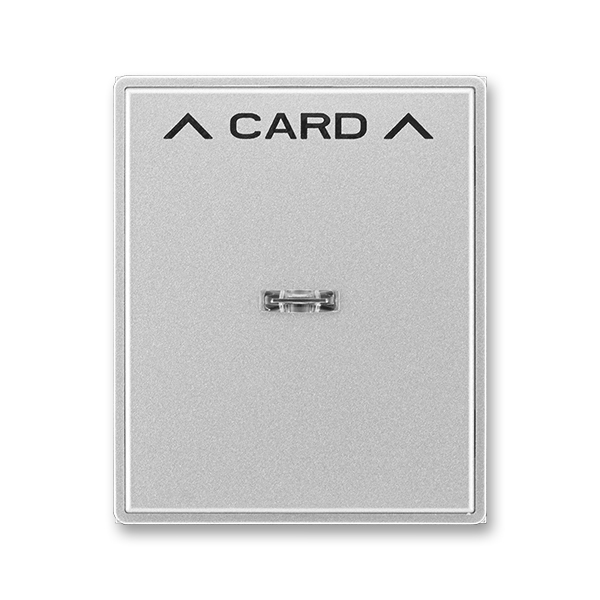 Kryt spínača kartového, s čírym priezorom, s potlačou, Time®, Time® Arbo, titánová