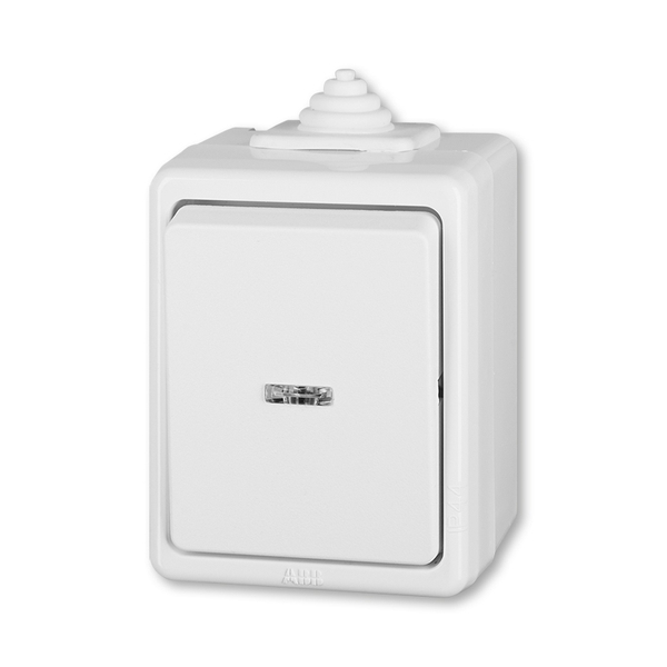 Prepínač striedavý IP 44, s čírym priezorom, Praktik, biela