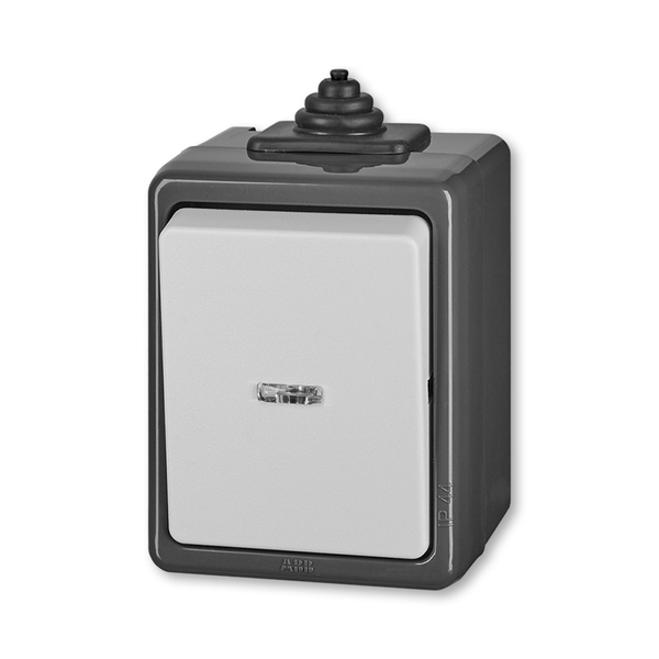 Prepínač krížový IP 44, s čírym priezorom, Praktik, šedá