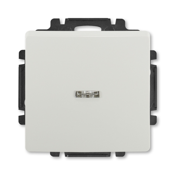 Spínač dvojpólový s priezorom, Swing®, Swing®L, svetlo šedá