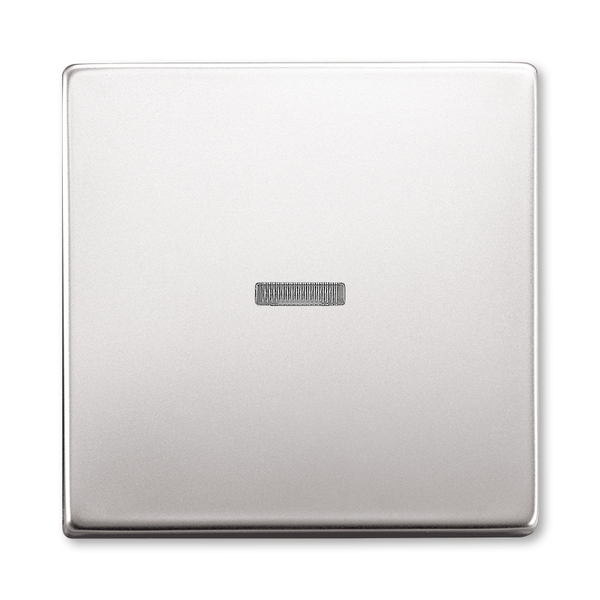 Kryt spínača kolískového s čírym priezorom, Future® linear, ušľachtilá oceľ