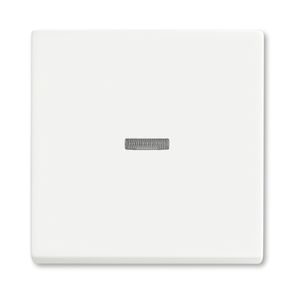 Kryt spínača kolískového s čírym priezorom, Future® linear, zamatová biela