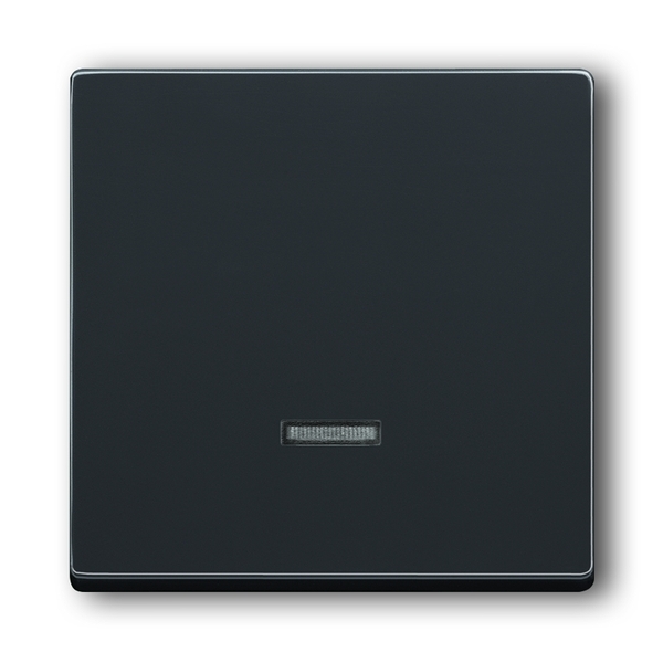 Kryt stmievača s krátkocestným ovládačom, s tlejivkou, Future® linear, Solo®, Solo® carat, antracitová