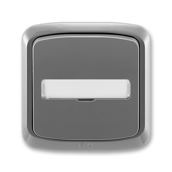 Ovládač zapínací IP 44, s presvetleným popisovým poľom, zapustený, Tango®, dymová šedá
