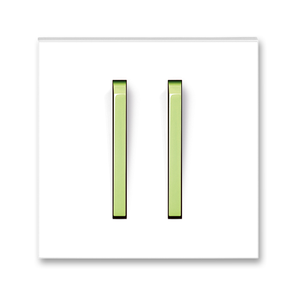 Kryt spínača s dvomi páčkami, Neo®, biela / ľadová zelená