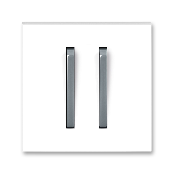 Kryt spínača s dvomi páčkami, Neo®, biela / ľadová šedá