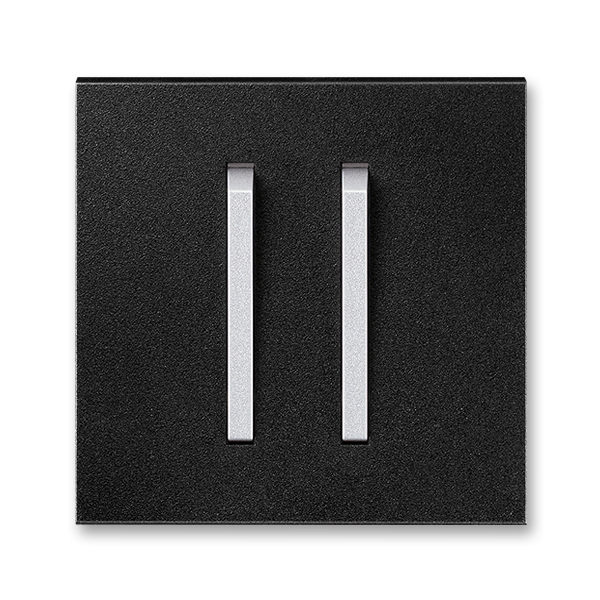 Kryt spínača s dvomi páčkami, Neo® Tech, onyx / titánová