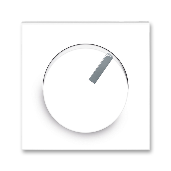 Kryt stmievača s otočným ovládačom, s upevňovacou maticou, Neo®, biela / ľadová šedá