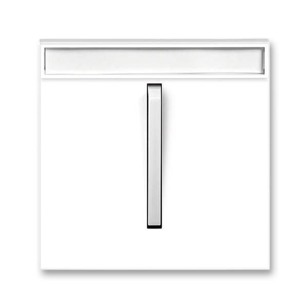 Kryt spínača jednoduchý s páčkou, s popisovým poľom, Neo®, biela / ľadová biela