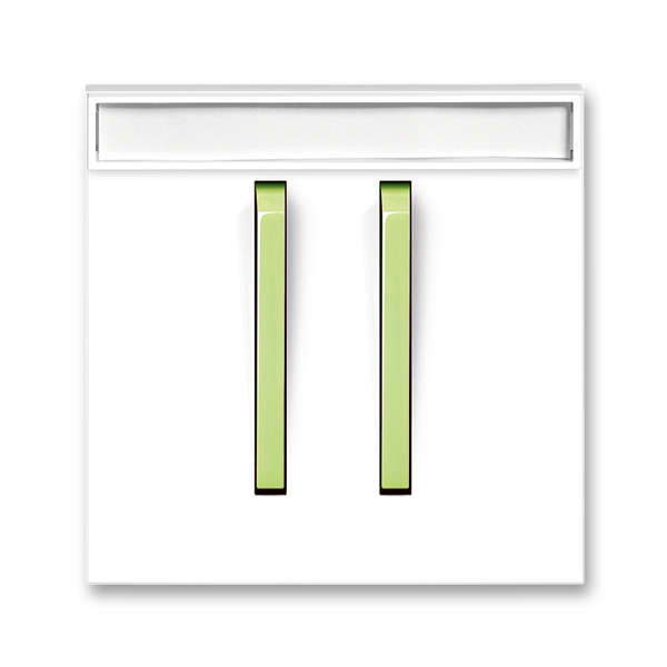 Kryt spínača jednoduchý s dvomi páčkami, s popisovým poľom, Neo®, biela / ľadová zelená