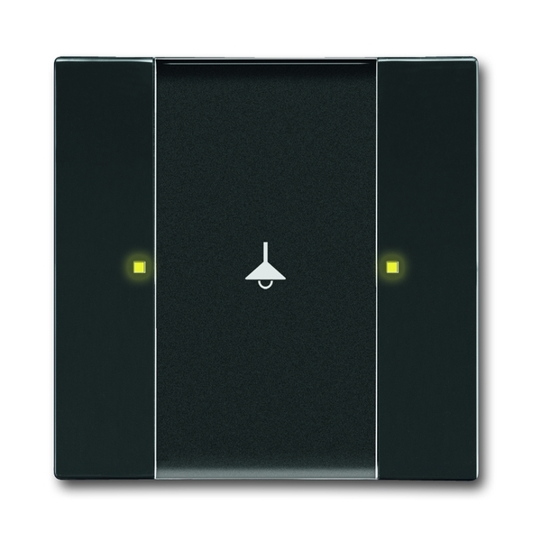 Prvok ovládací 1-/2 násobný, zapustený, Future® linear, Solo®, Solo® carat, antracitová