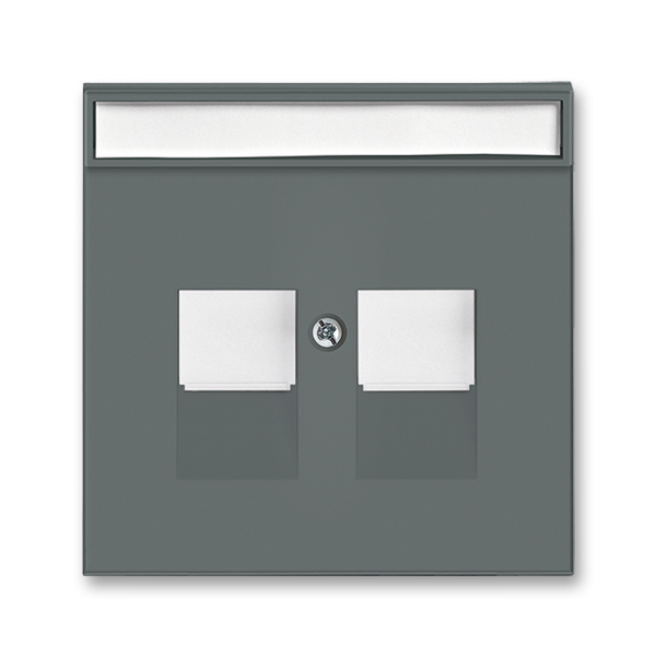 Kryt zásuvky komunikačnej, Neo®, grafitová / ľadová biela