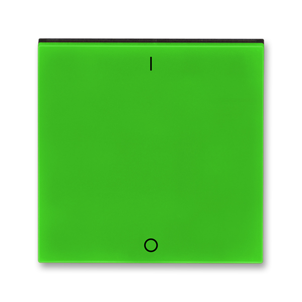 Kryt spínača kolískového s potlačou, Levit®, zelená / dymová čierna