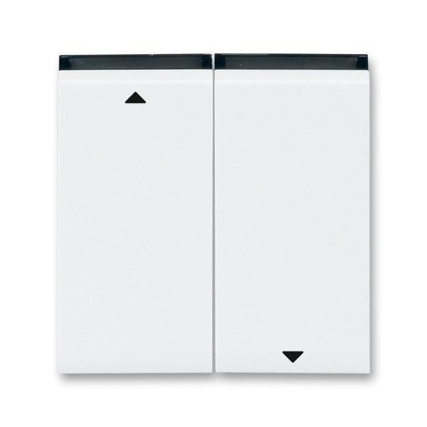 Kryt spínača žalúziového, s dvomi páčkami, s potlačou, Levit®, biela / dymová čierna