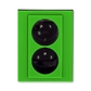 Zásuvka dvojnásobná s ochrannými kolíkmi, s clonkami, s natočenou dutinou, Levit®, zelená / dymová čierna