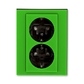 Zásuvka dvojnásobná s ochrannými kontaktmi (podľa DIN), s clonkami, Levit®, zelená / dymová čierna
