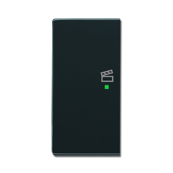 Kryt 2 násobný ľavý, symbol „scény“, Future® linear, Solo®, Solo® carat, antracitová