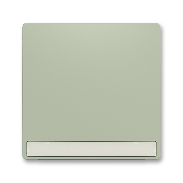 Kryt spínača jednoduchý, s popisovým poľom, olivová