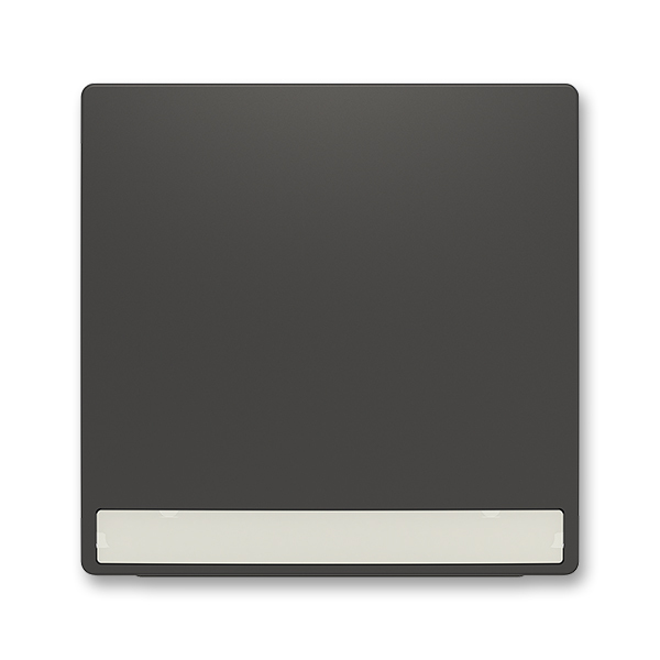 Kryt spínača jednoduchý, s popisovým poľom, matná čierna