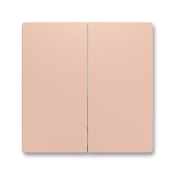 Kryt delený pre smart switch, púdrová