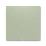 Kryt delený pre smart switch, olivová