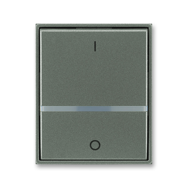 Kryt spínača kolískového s čírym priezorom, s potlačou, Time®, Time® Arbo, antracitová