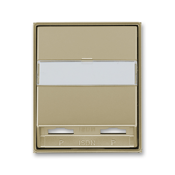 Kryt zásuvky ISDN s 2 otvormi, Time®, Time® Arbo, šampanská