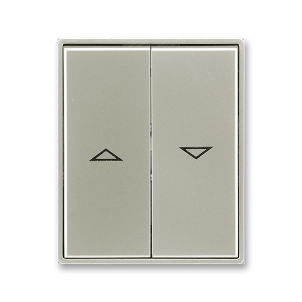 Kryt spínača žalúziového kolískového delený, s potlačou, Time®, Time® Arbo, starostrieborná