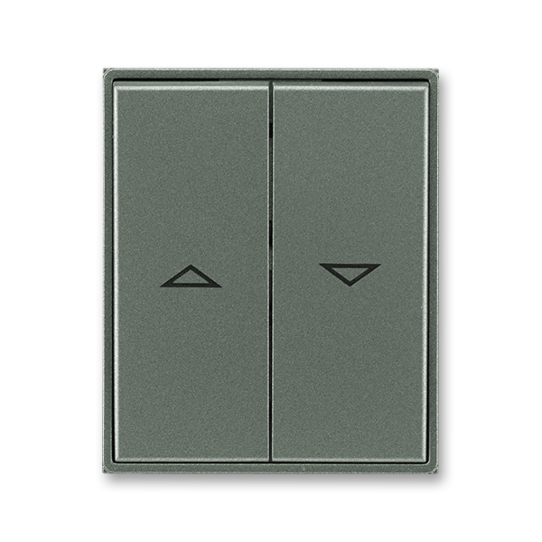 Kryt spínača žalúziového kolískového delený, s potlačou, Time®, Time® Arbo, antracitová