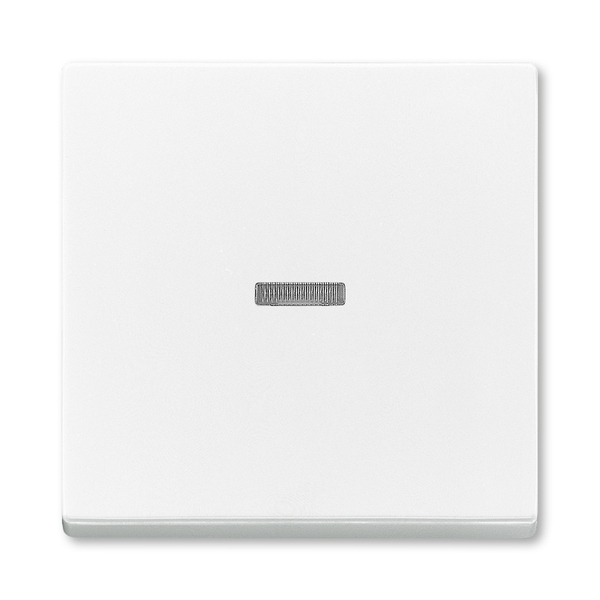 Kryt spínača kolískového s čírym priezorom, Future® linear, Solo®, Solo® carat, štúdiová biela