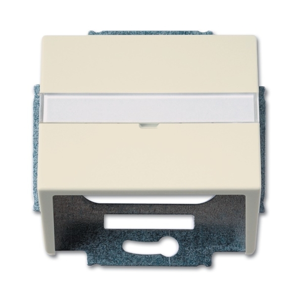 Kryt zásuvky komunikačnej s popisovým poľom, Future® linear, Solo®, Solo® carat, slonová kosť
